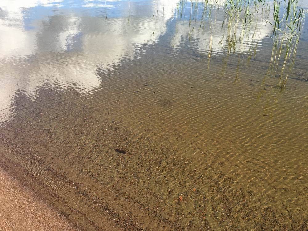 ACD Systems Digital Imaging